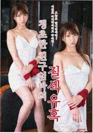 私人电影网片库《极光航线》海报